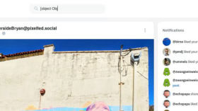 Search-Issue in Pixelfed